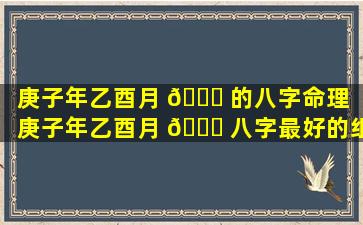 庚子年乙酉月 🕊 的八字命理（庚子年乙酉月 💐 八字最好的组合）